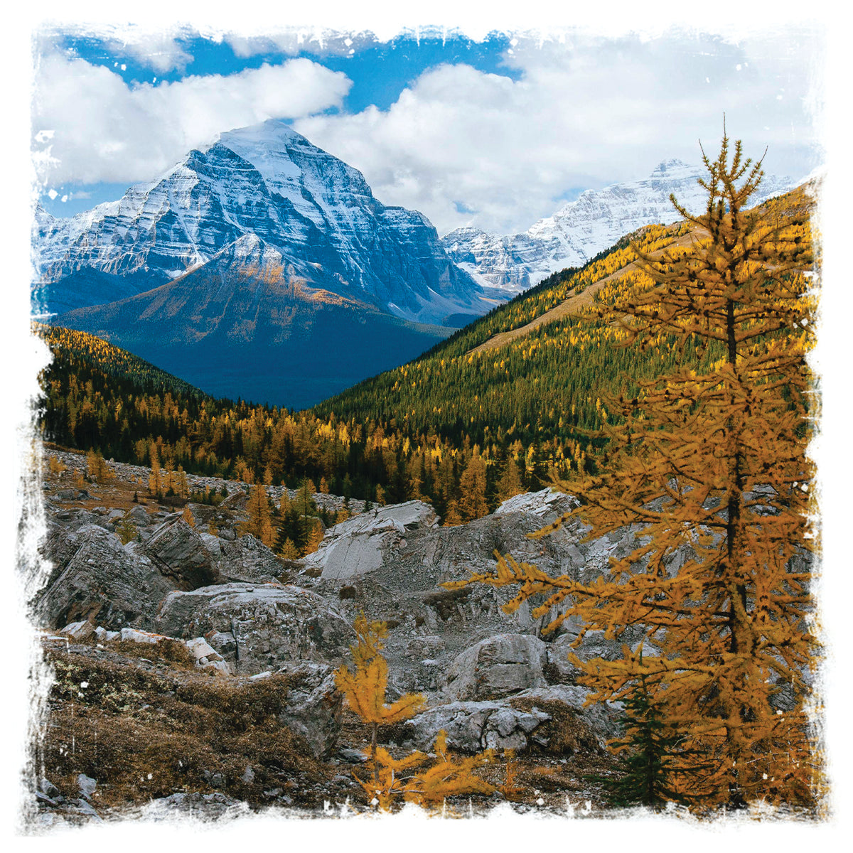 Coaster Image Selection for Mountain Events