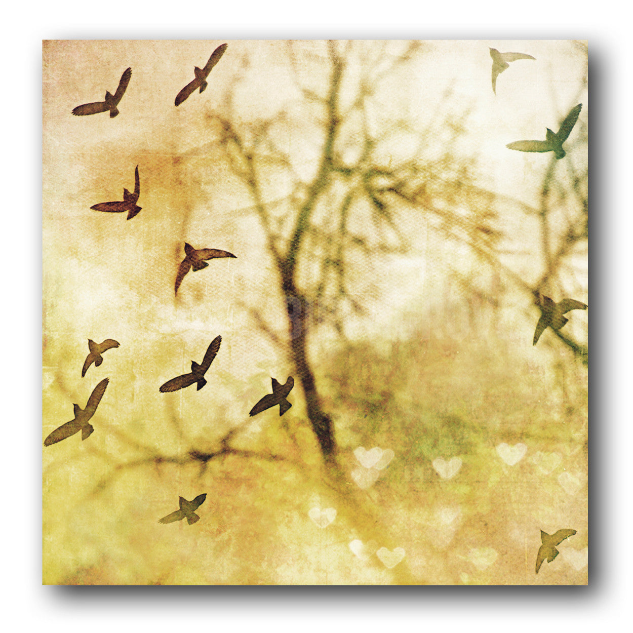 Bird Study No. 1<br>Archival Fine Art Chromogenic Print