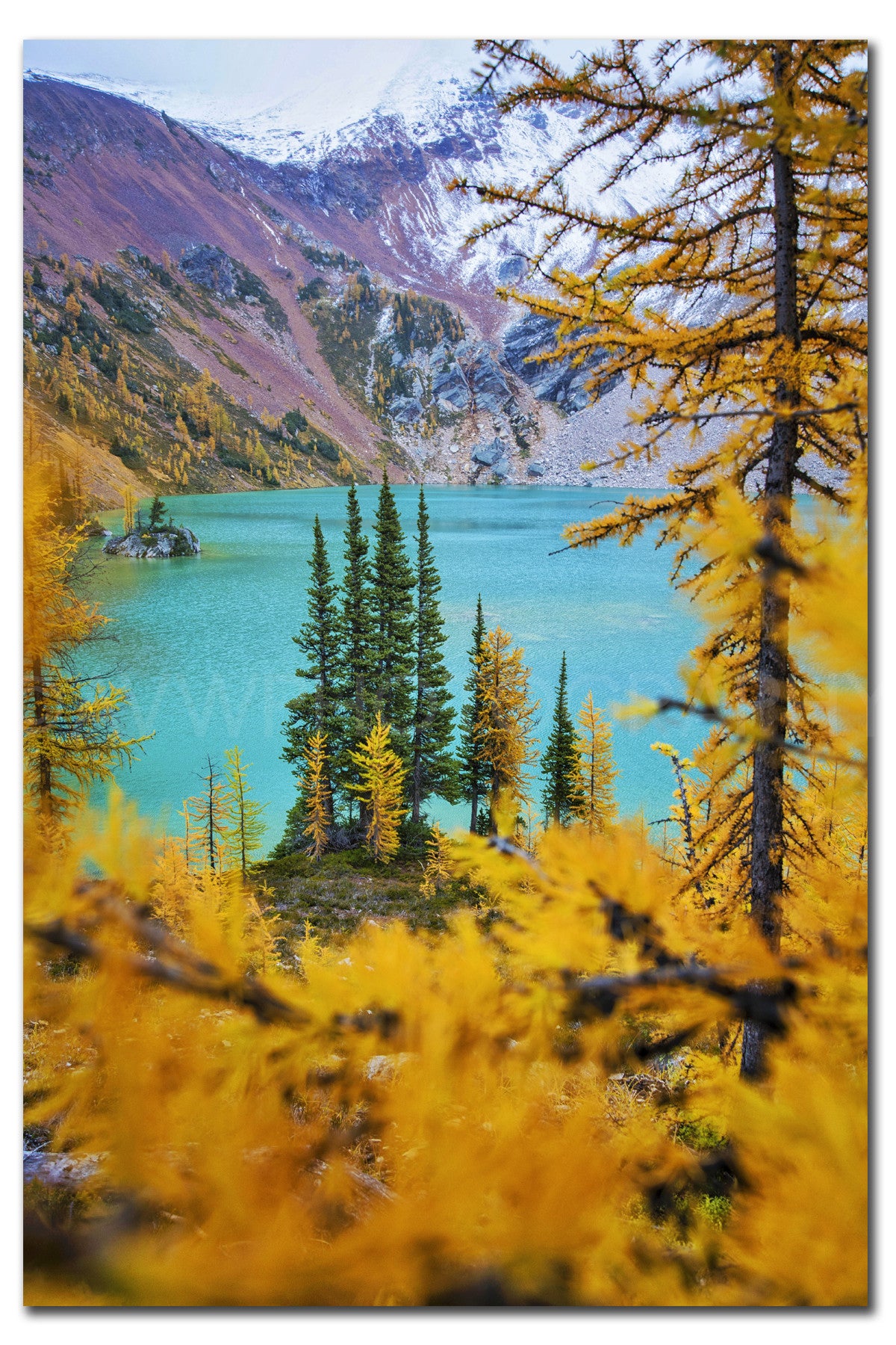 Larch Trees + Magical Lake<br> Canada <br>Limited Edition Archival<br> Fine Art Chromogenic Print