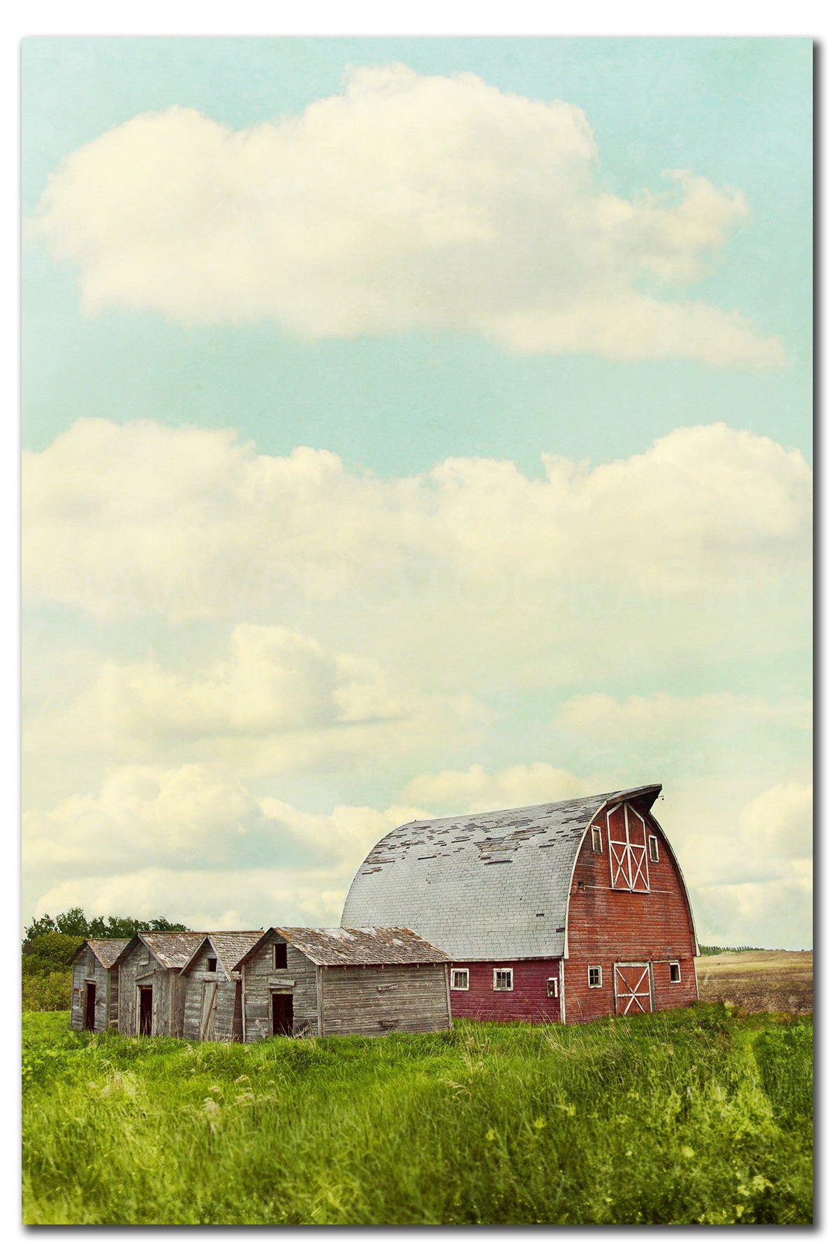 Canadian Red Barn in Summer <br>Limited Edition Archival Fine Art Chromogenic Print
