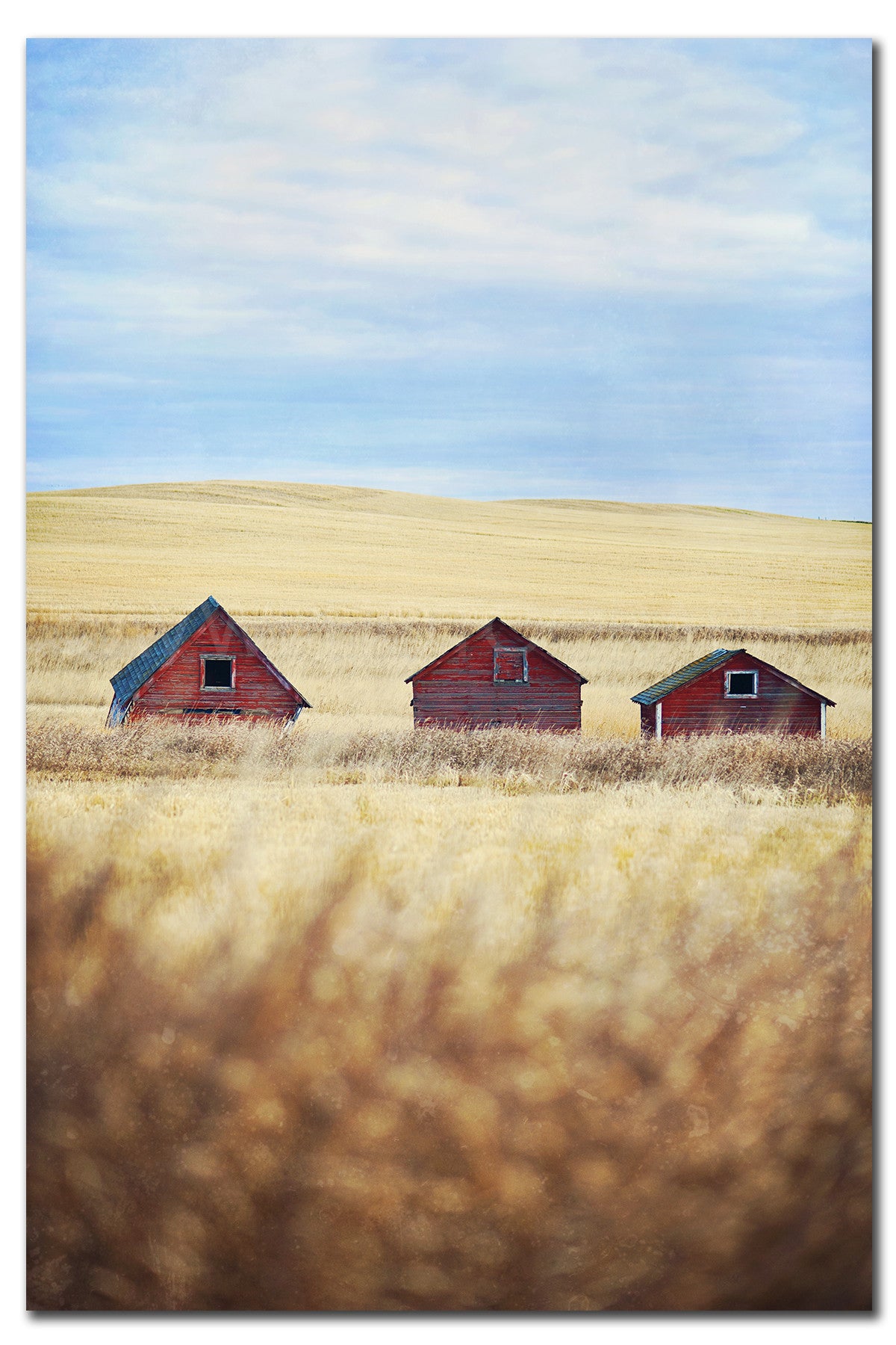 Canadian Prairies <br>Limited Edition Archival<br> Fine Art Chromogenic Print