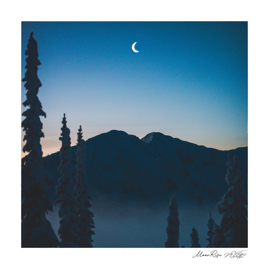 Moonrise - Pretty Little Print