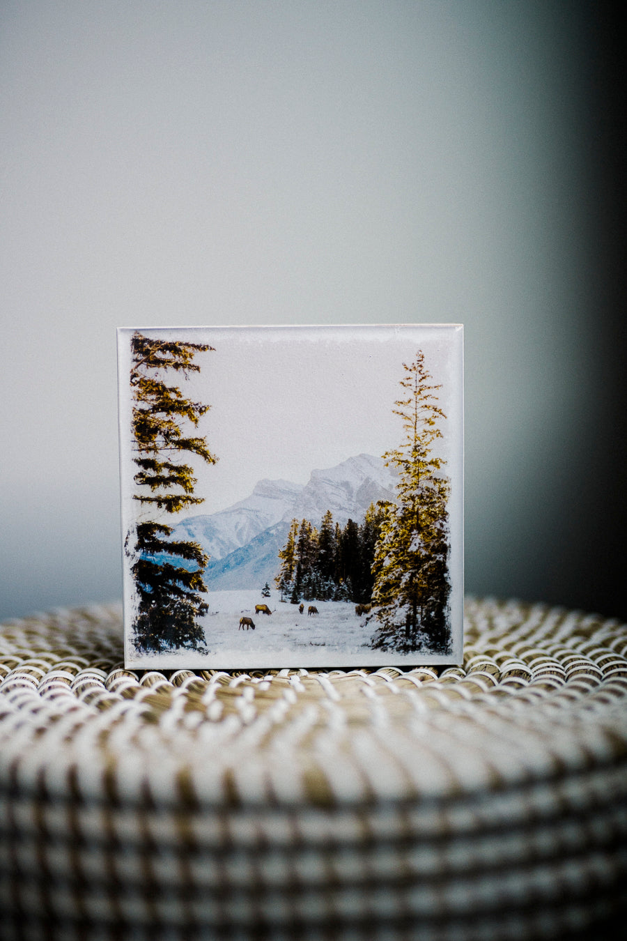 Winter Sunrise in Canmore with Elk <br> 5x5" Signature Glossy Art Block  <br> New Pine Wood Edges