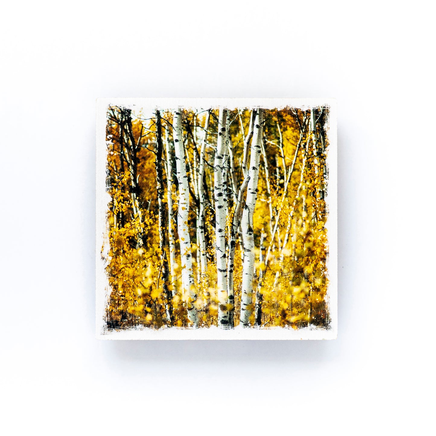 Autumn Aspens Birch Wood Photo Coaster