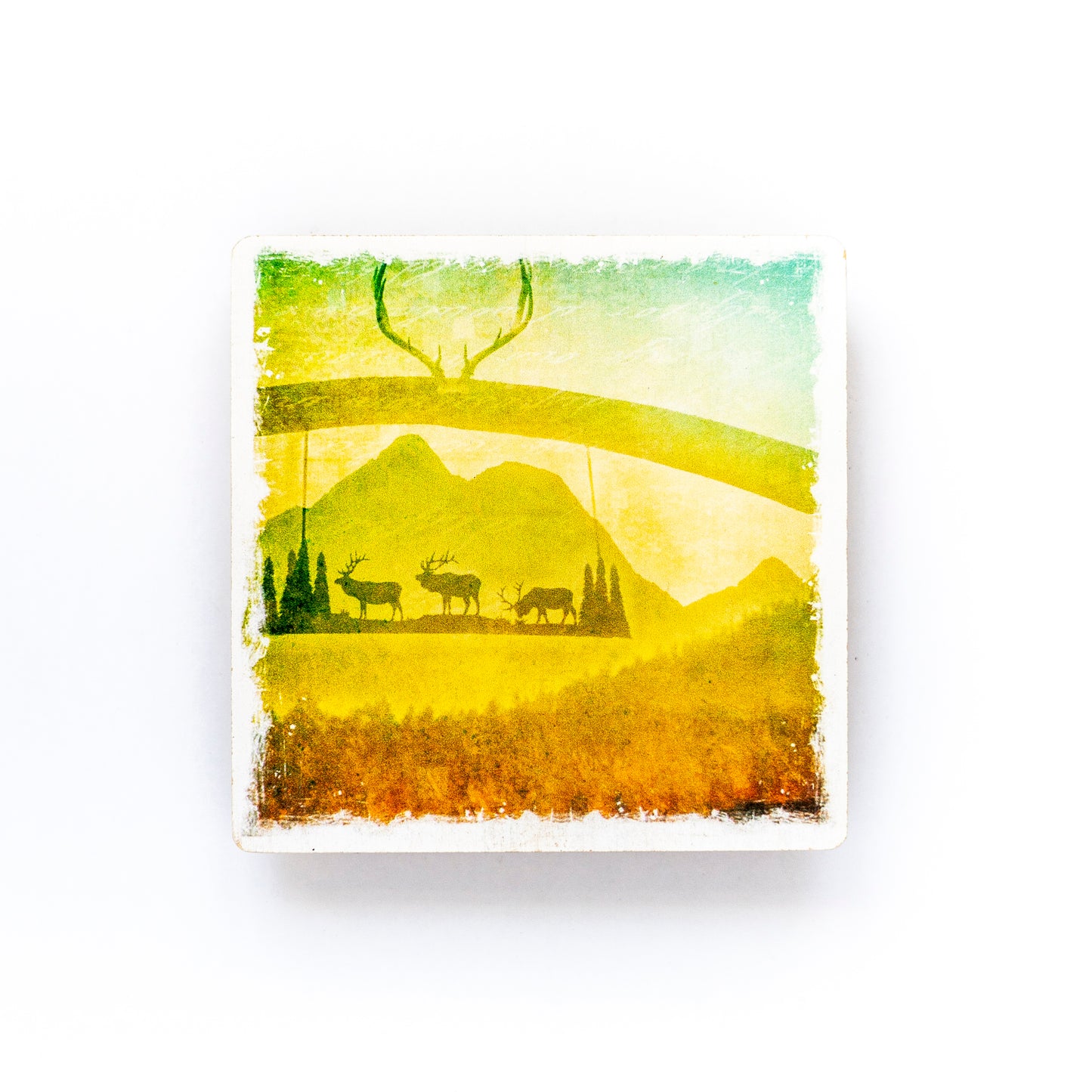 Ranch Post with Elk at Sunset Birch Wood Photo Coaster