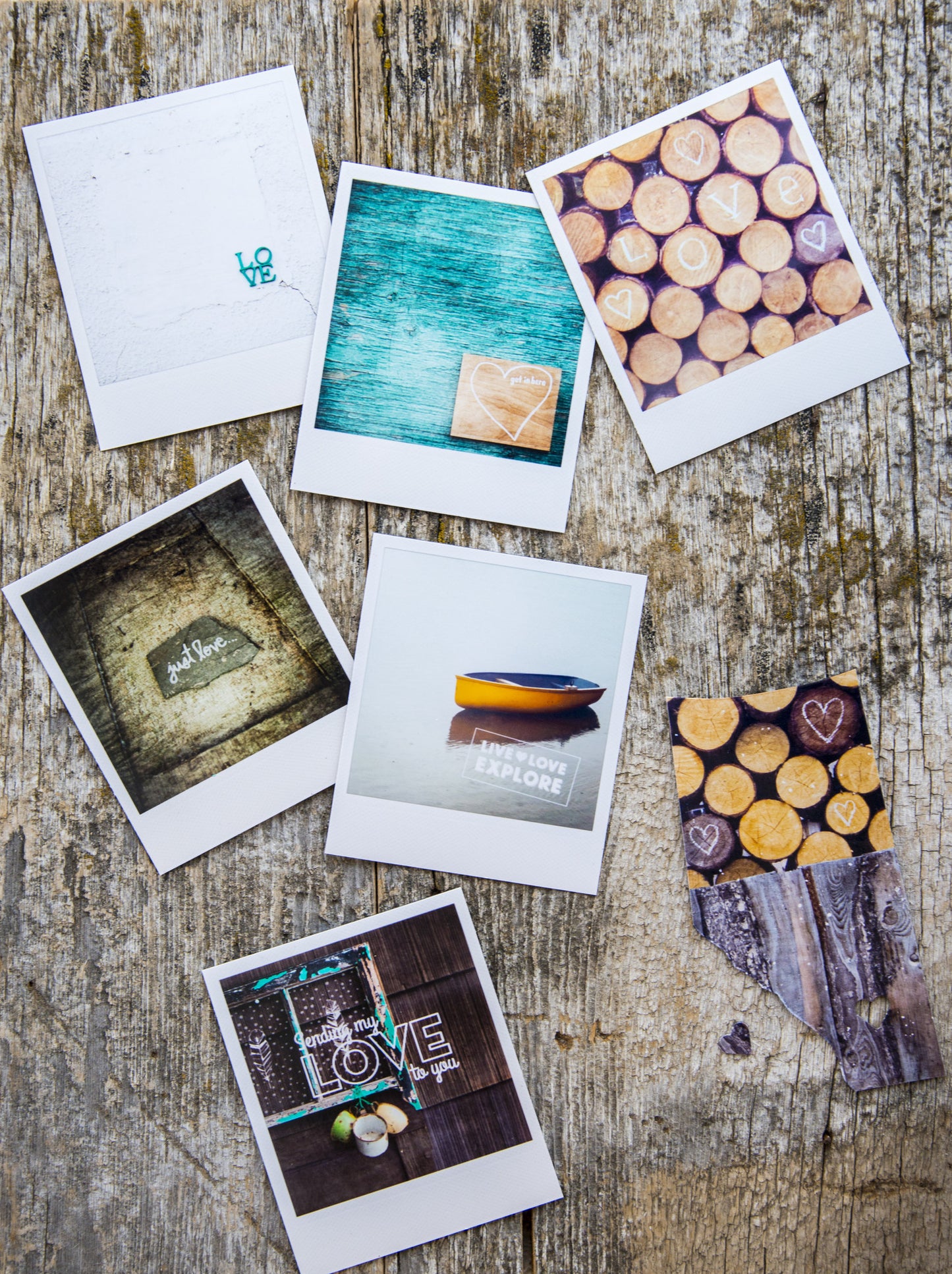 Metallic Polaroid Magnet Autumn Larches