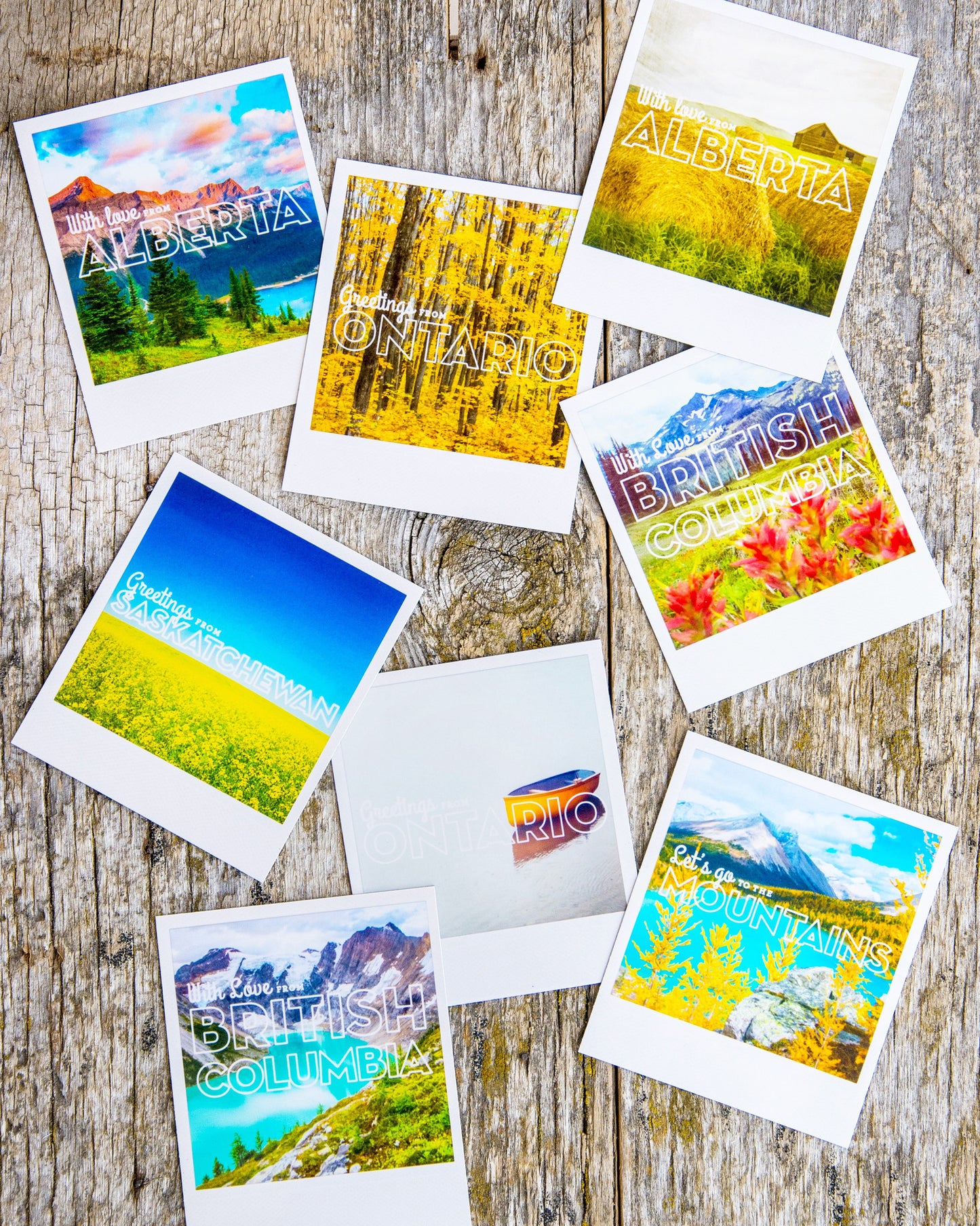 Metallic Polaroid Magnet Autumn Larches