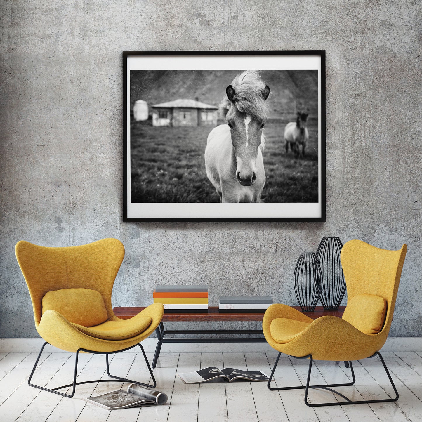Colección Kuva<br> potro islandés<br> Cerca de Breiðdalsvík Islandia<br> Impresión en blanco y negro de archivo de lanzamiento limitado