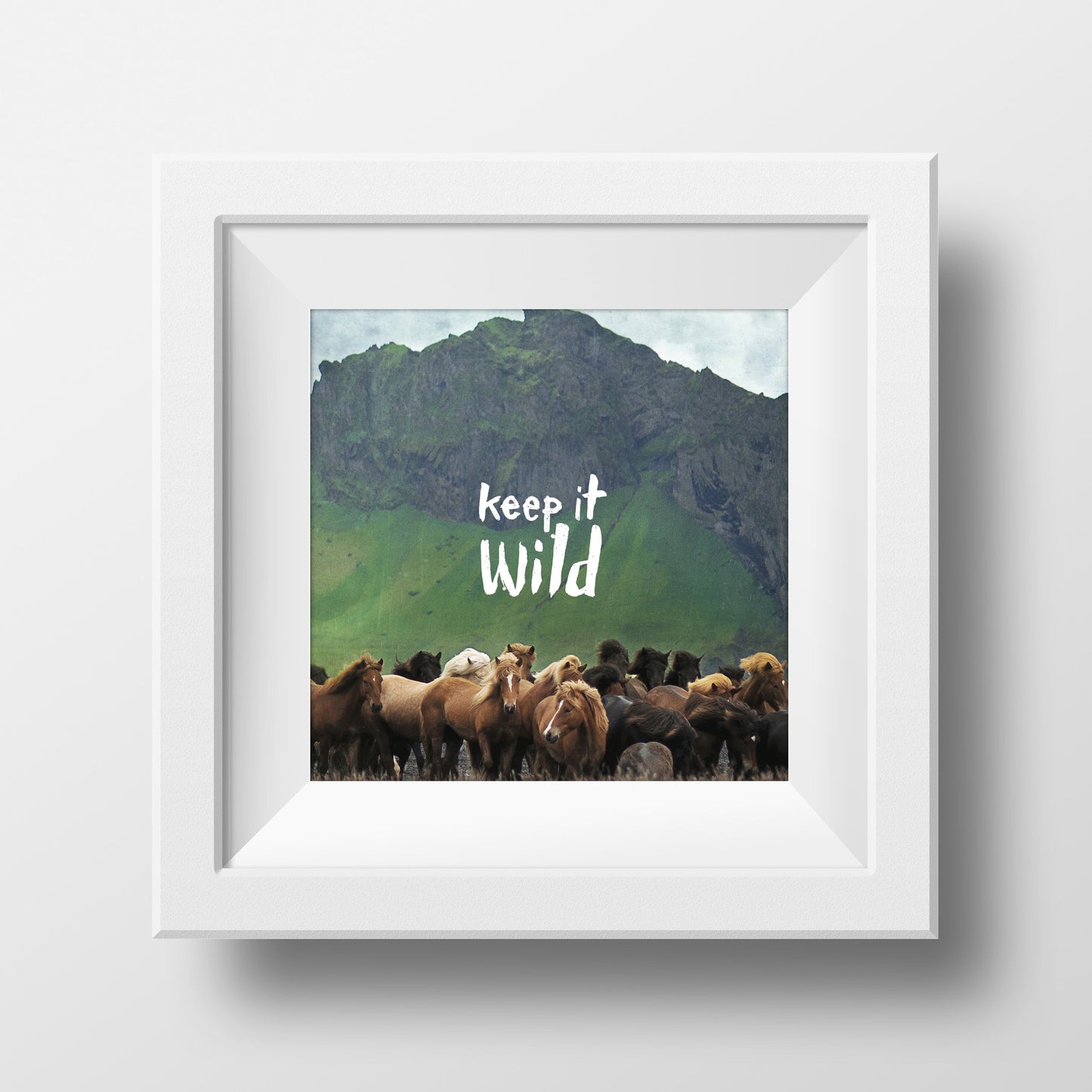 Discontinued 5x5" Print <br>Keep it Wild Icelandic Horses <br> Textured Matte Finish