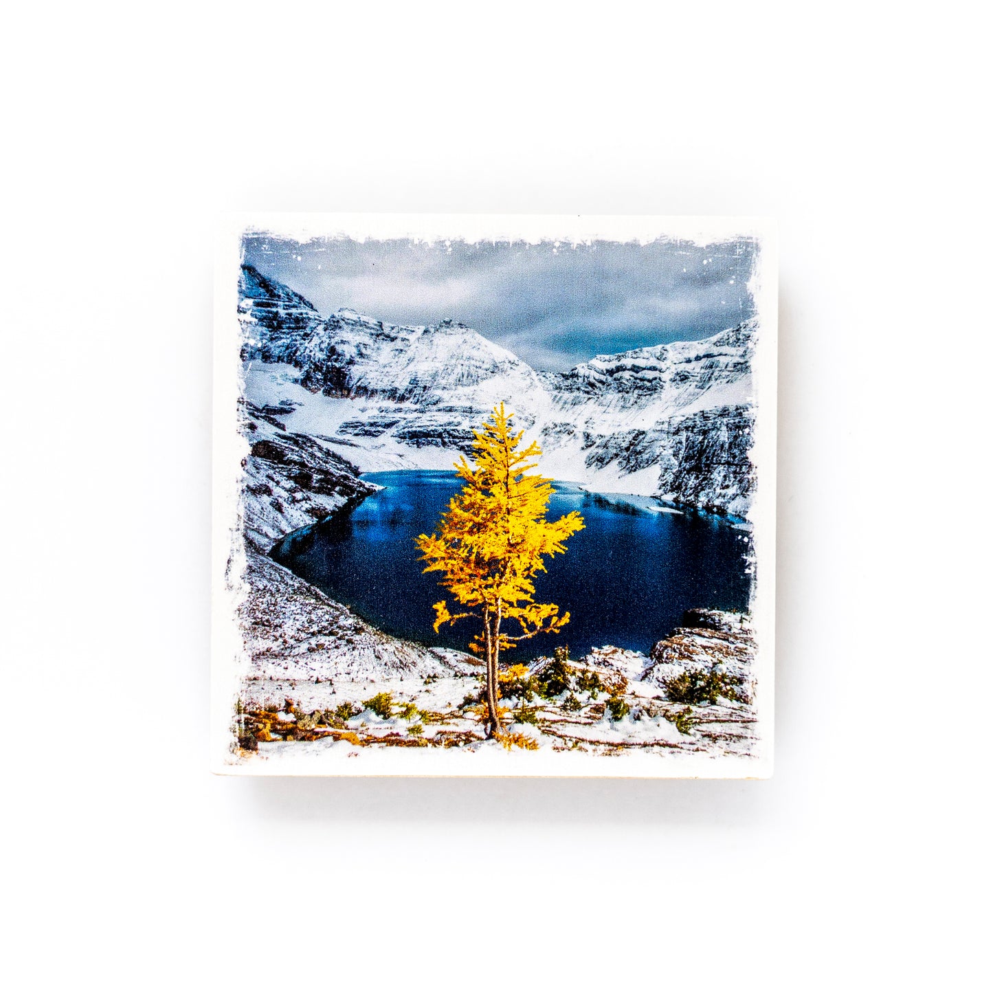 Lake McArthur Canadian Rockies Yoho National Park Birch Wood Photo Coaster 4x4" Matte Finish