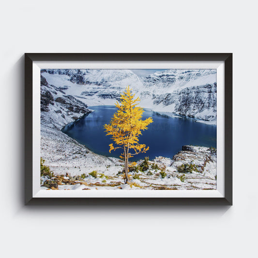 Nevadas de septiembre<br> Parque Nacional Yoho Canadá<br> Archivo de edición limitada<br> Impresión cromogénica de bellas artes