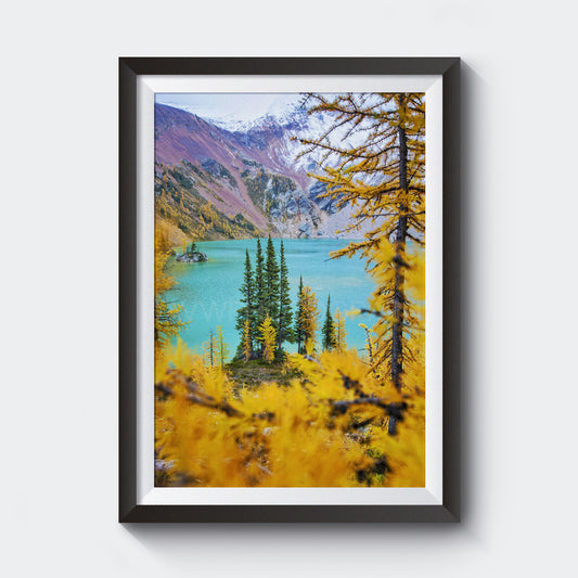 Alerces + Lago Mágico<br> Canadá<br> Archivo de edición limitada<br> Impresión cromogénica de bellas artes