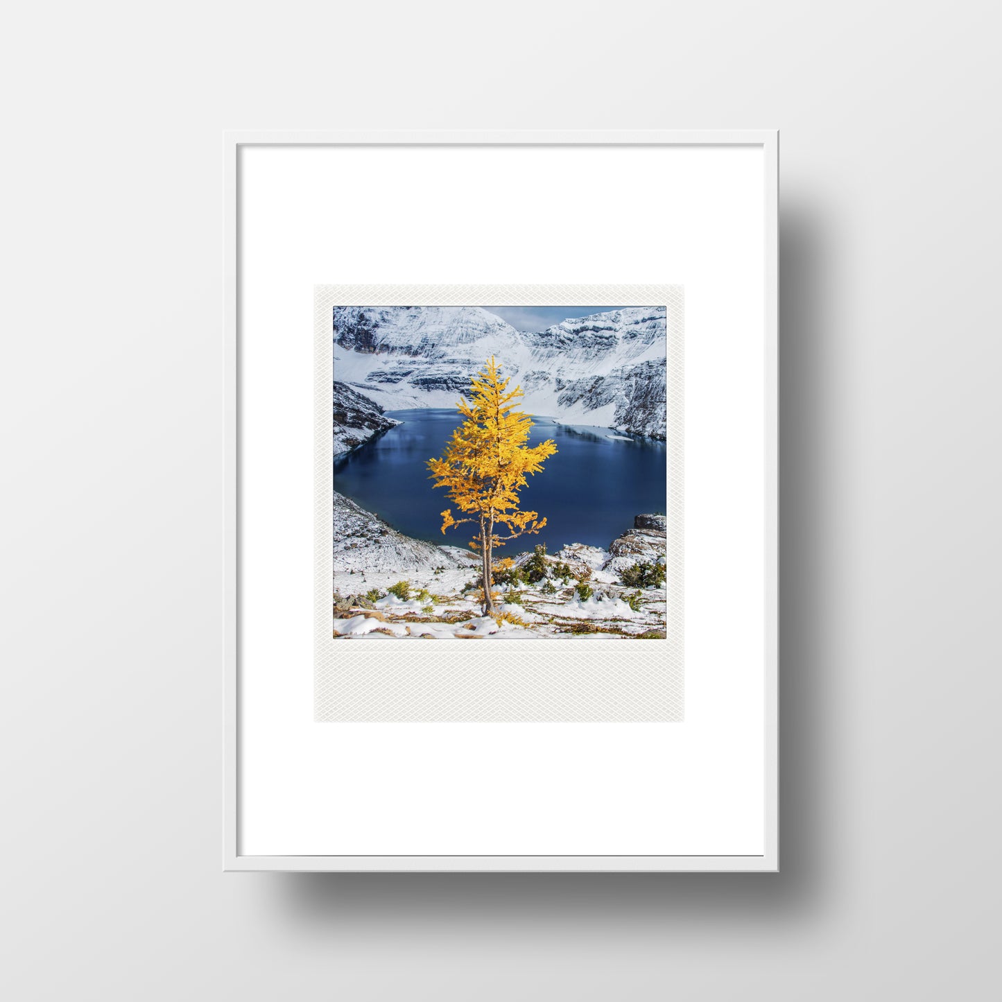 Metallic Polaroid Magnet <br> Lone Larch Yoho National Park