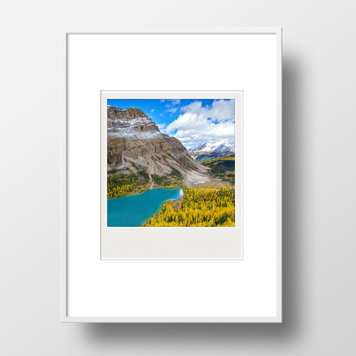 Metallic Polaroid Magnet <br>Larches in Banff National Park <br> Skoki Lakes