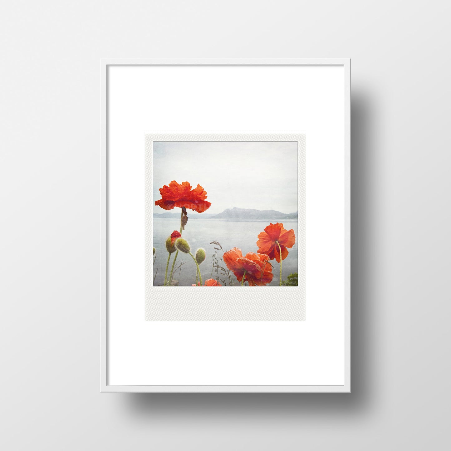 CLEARANCE <br> Metallic Polaroid Magnet <br>Poppies Along the Ocean