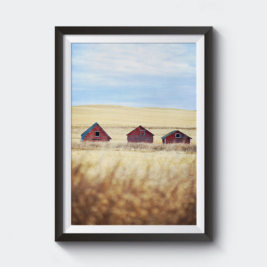 Canadian Prairies <br>Limited Edition Archival<br> Fine Art Chromogenic Print