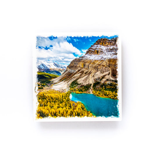Posavasos con fotografías de madera de abedul Otoño en el Parque Nacional Lake Louise Banff