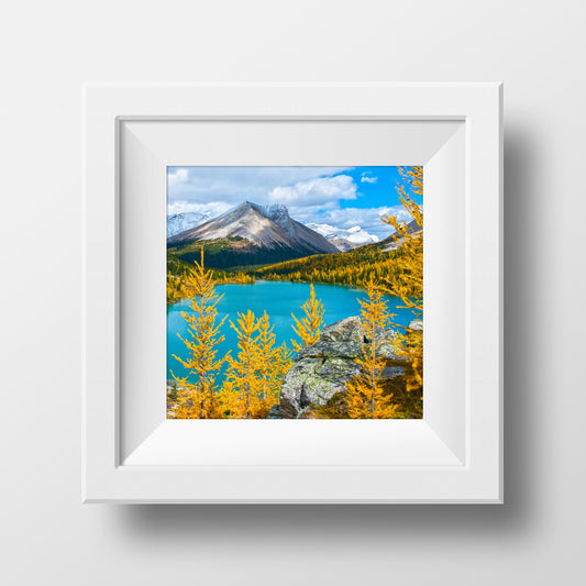 Luz de la mañana en el Parque Nacional Banff<br> Impresión cromogénica de bellas artes de archivo