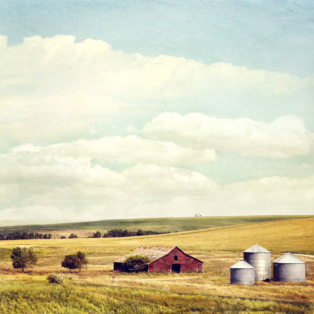 Farmstead in Summer <br> Standard Alberta <br>Archival Fine Art Chromogenic Print