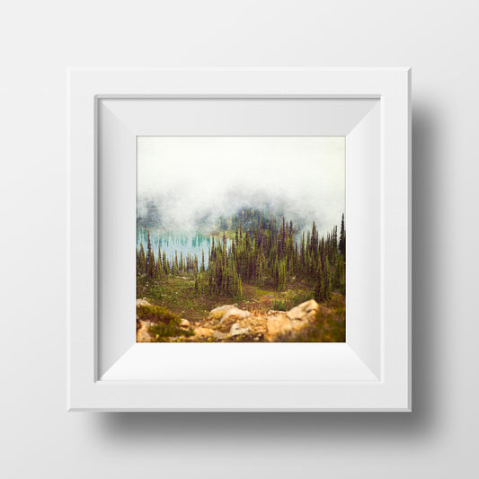 Abeto subalpino + Tarns<br> Monte Venta BC<br> Impresión cromogénica de bellas artes de archivo