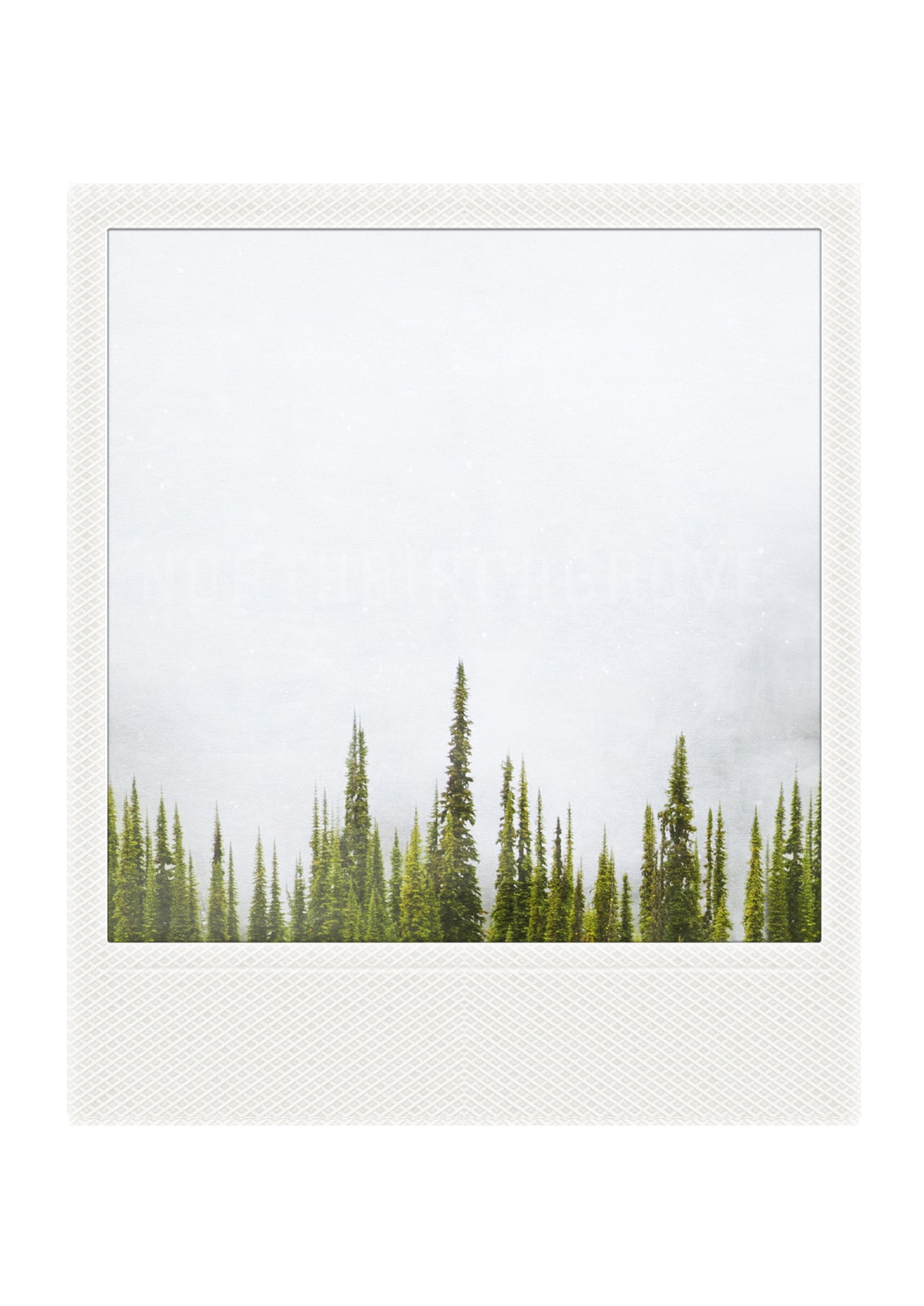 Metallic Polaroid Magnet Fir Trees + Fog