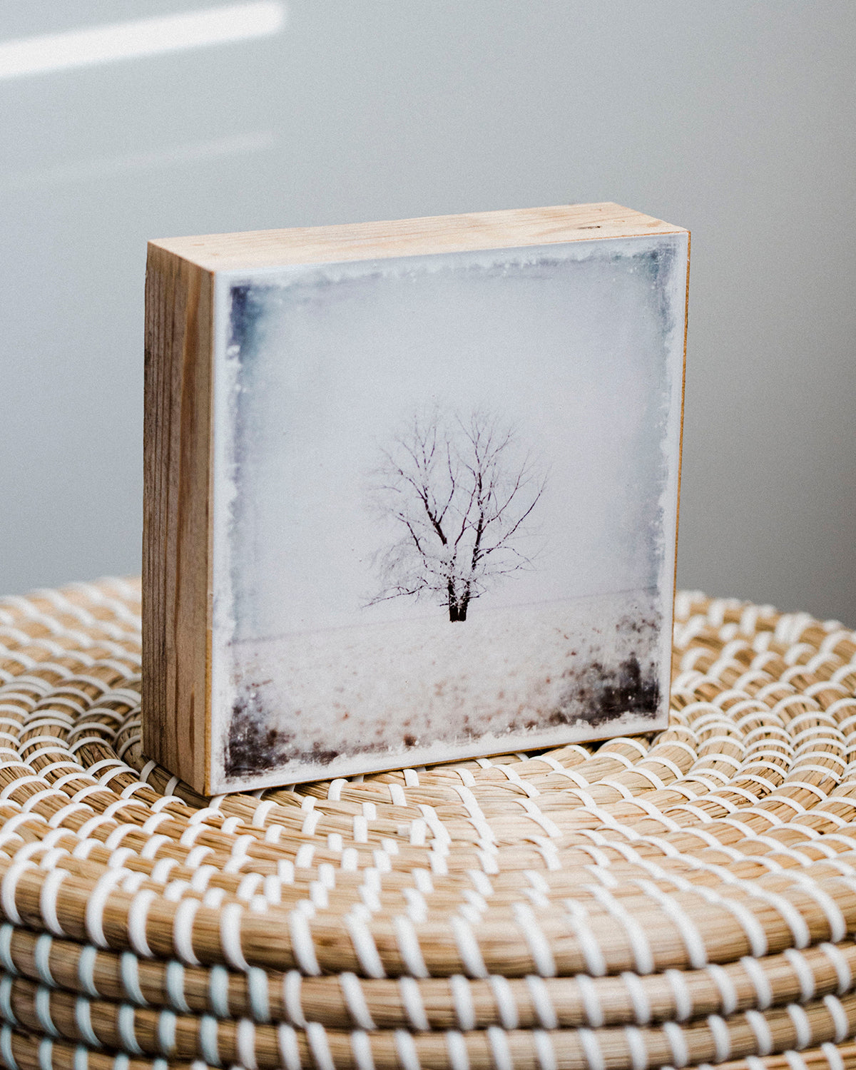 Lone Tree in Winter <br> 5x5" Signature Glossy Art Block  <br> Rustic Barn Wood Edges