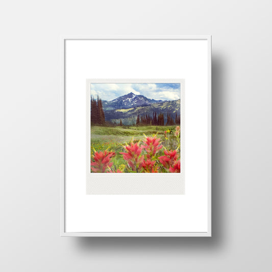 Imán Polaroid metálico<br> Flores silvestres en julio
