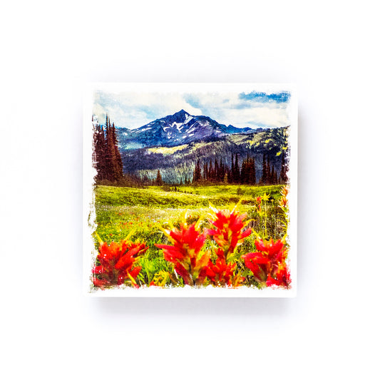 Posavasos con fotografías de madera de abedul Flores silvestres y pinceles en la Columbia Británica