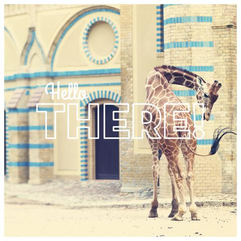 4x4" Matte Postcard / Print <br>Hello There!