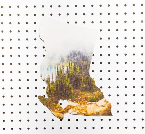 BC Landscape <br> Sub Alpine Fir + Fog<br> Photo on Birch Wood Panel <br> SHIPS FREE