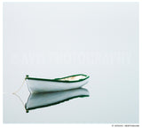 CLEARANCE Limited 6x7" Print <br> Dory in Newfoundland<br> Satin Finish