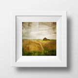 CLEARANCE Print<br>Haybales in Alberta <br> Various Finishes + Sizes