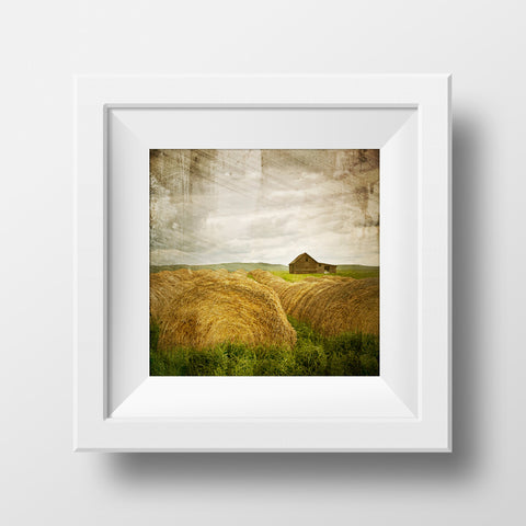 SALE Print<br>Haybales in Alberta <br> Various Finishes + Sizes