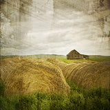 CLEARANCE Print<br>Haybales in Alberta <br> Various Finishes + Sizes