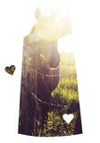 Saskatchewan Love Magnet <br> Choose from 12 Styles!