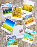 SALE<br>Metallic Polaroid Magnet <br>Calm Bay <br> Newfoundland Canada
