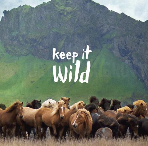 Discontinued Limited Print <br>Keep it Wild Icelandic Horses <br> Archival Water Colour Paper Print