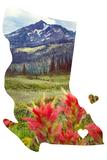 British Columbia Love Magnet <br>Online ONLY <br> Choose from 4 Styles!