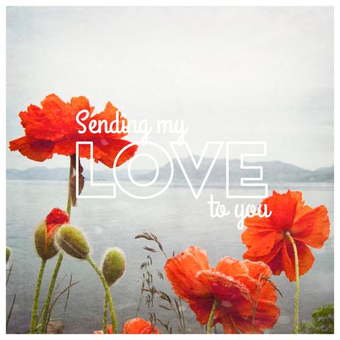 4x4" Matte Postcard / Print <br>Sending My Love to You!