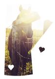 Manitoba Love Magnet <br> Choose from 12 Styles!