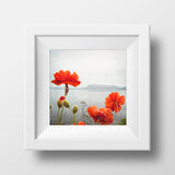 CLEARANCE Print <br>Poppies Along the Ocean <br> Metallic Finish + Various Sizes