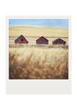 SALE<br>Metallic Polaroid Magnet <br> 3 Little Farm Buildings