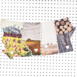 AVAILABLE JULY 1ST <br>4 Province Collection<br>Limited Stock!<br> Photos on Birch Wood Panels<br> Choose from 3 Sets <br> SHIPS FREE