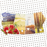 4 Province Collection No. 2 <br> Photos on Birch Wood Panels<br>